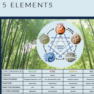Wall chart - Five elements order online