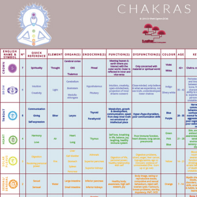 Wall chart - Chakras order online