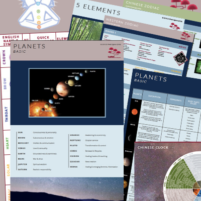 Wall charts - for natural therapies clinics and the FlameTree system healers - order online