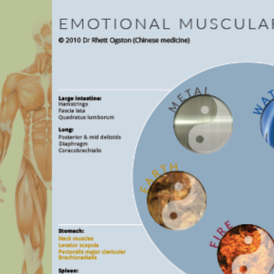 Wall chart - Emotional muscular release - order online